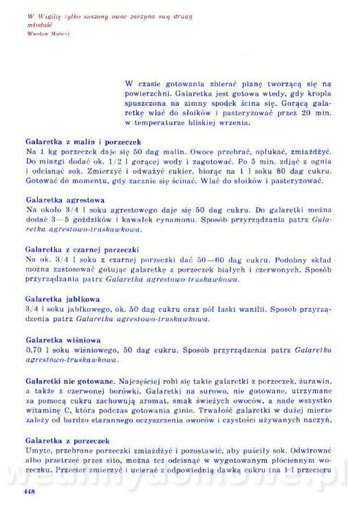 Nowa Kuchnia Sląska (1992 r)_448.jpg