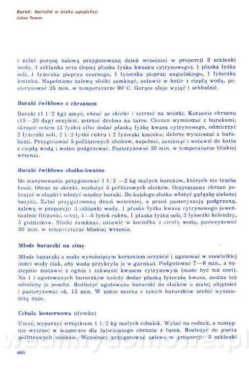 Nowa Kuchnia Sląska (1992 r)_460.jpg