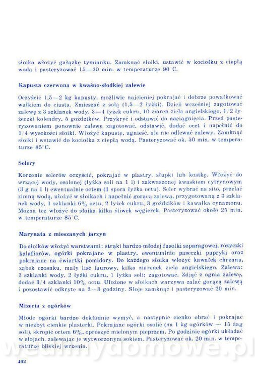 Nowa Kuchnia Sląska (1992 r)_462.jpg