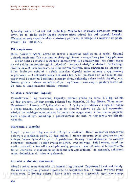Nowa Kuchnia Sląska (1992 r)_464.jpg
