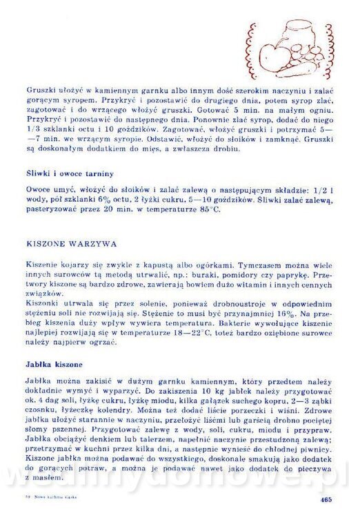 Nowa Kuchnia Sląska (1992 r)_465.jpg