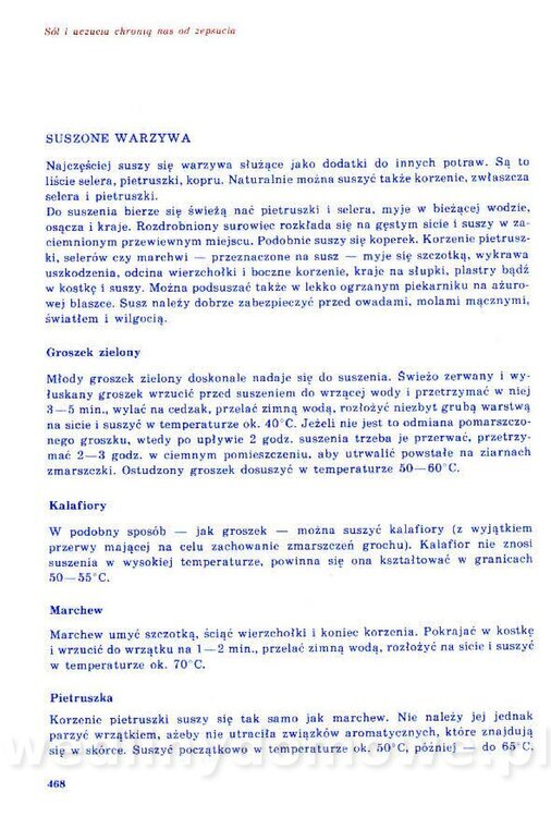 Nowa Kuchnia Sląska (1992 r)_468.jpg