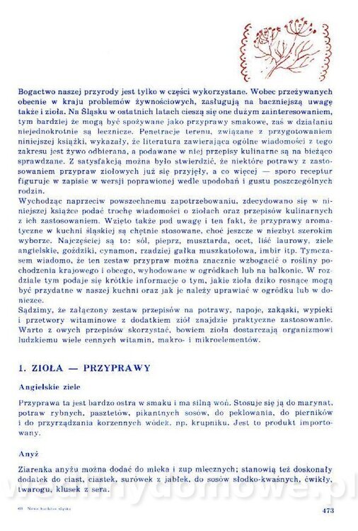 Nowa Kuchnia Sląska (1992 r)_473.jpg