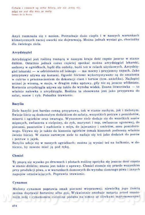 Nowa Kuchnia Sląska (1992 r)_474.jpg