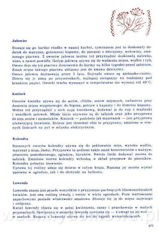 Nowa Kuchnia Sląska (1992 r)_477.jpg