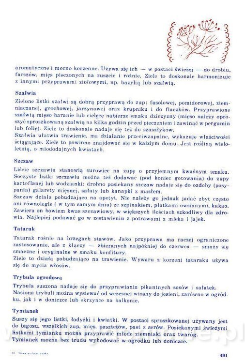 Nowa Kuchnia Sląska (1992 r)_481.jpg