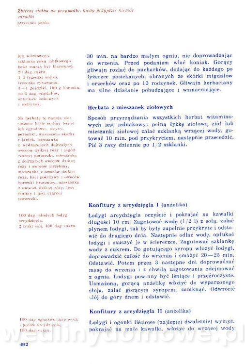 Nowa Kuchnia Sląska (1992 r)_492.jpg