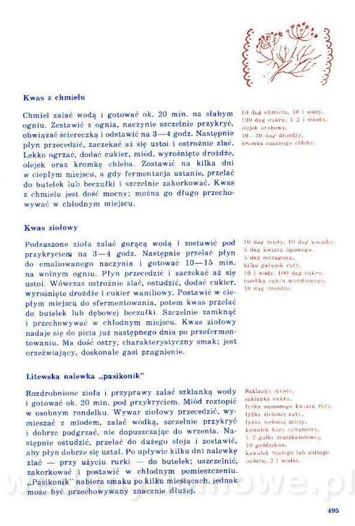 Nowa Kuchnia Sląska (1992 r)_495.jpg