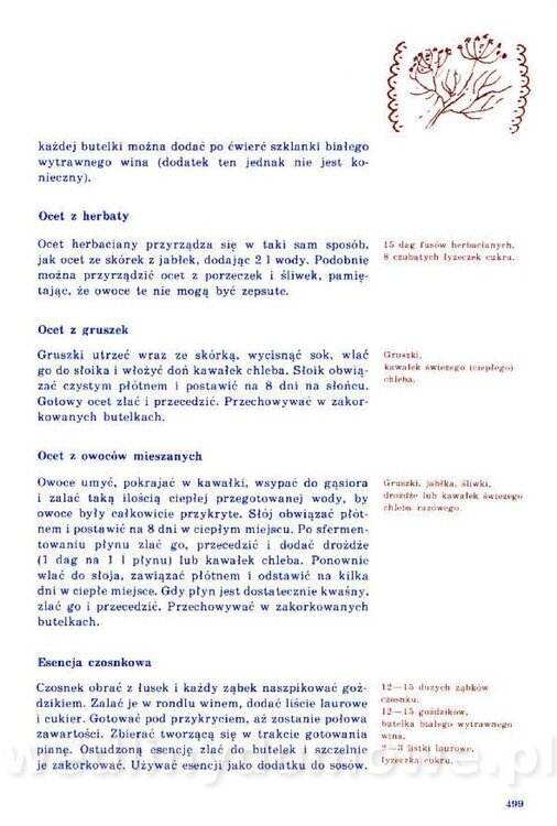 Nowa Kuchnia Sląska (1992 r)_499.jpg