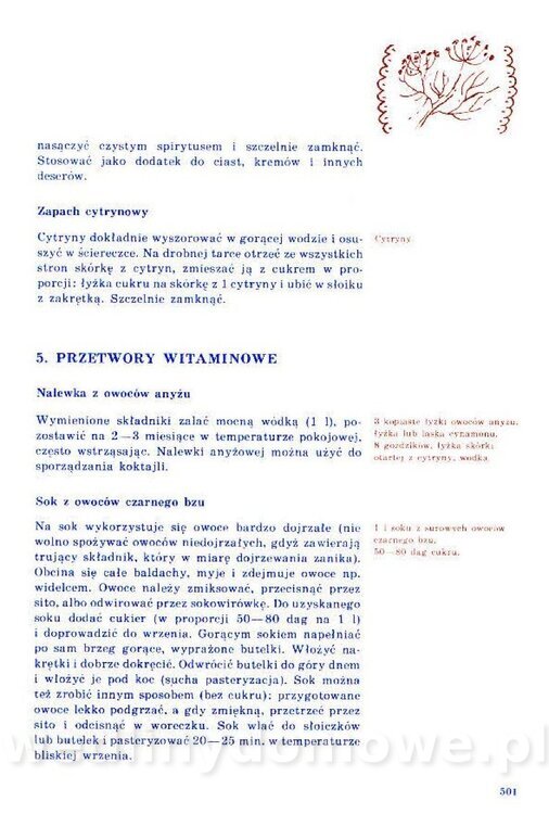 Nowa Kuchnia Sląska (1992 r)_501.jpg