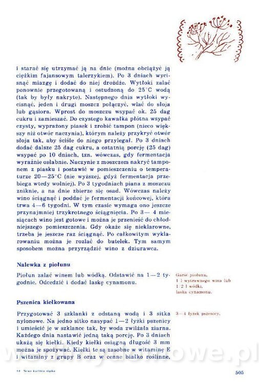 Nowa Kuchnia Sląska (1992 r)_505.jpg