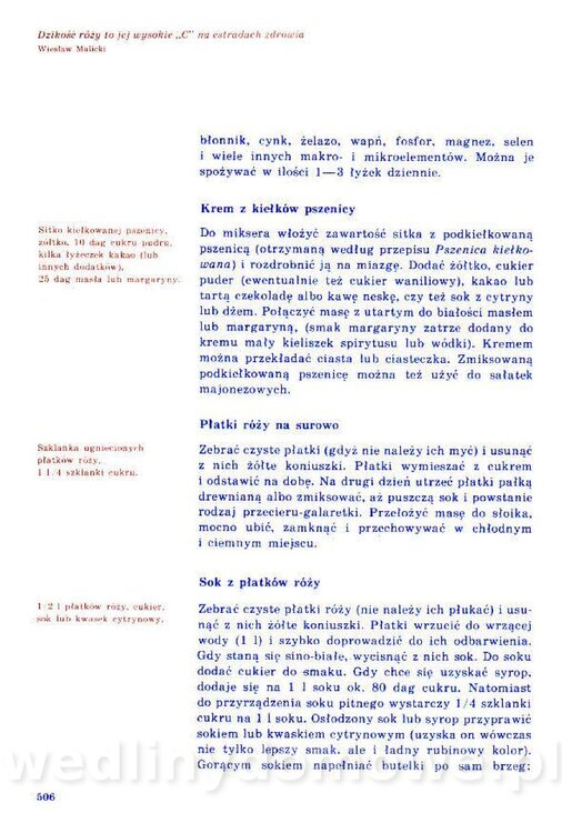 Nowa Kuchnia Sląska (1992 r)_506.jpg