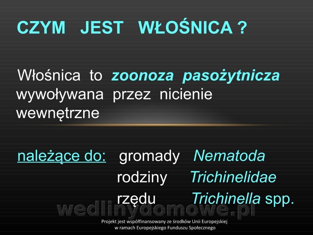 Włośnica - marzec 2014rPPTX (1)_002.jpg