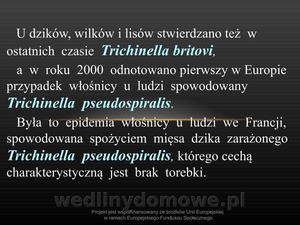 Włośnica - marzec 2014rPPTX (1)_006.jpg