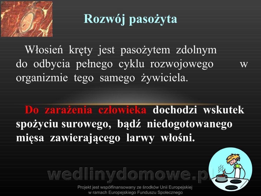 Włośnica - marzec 2014rPPTX (1)_007.jpg