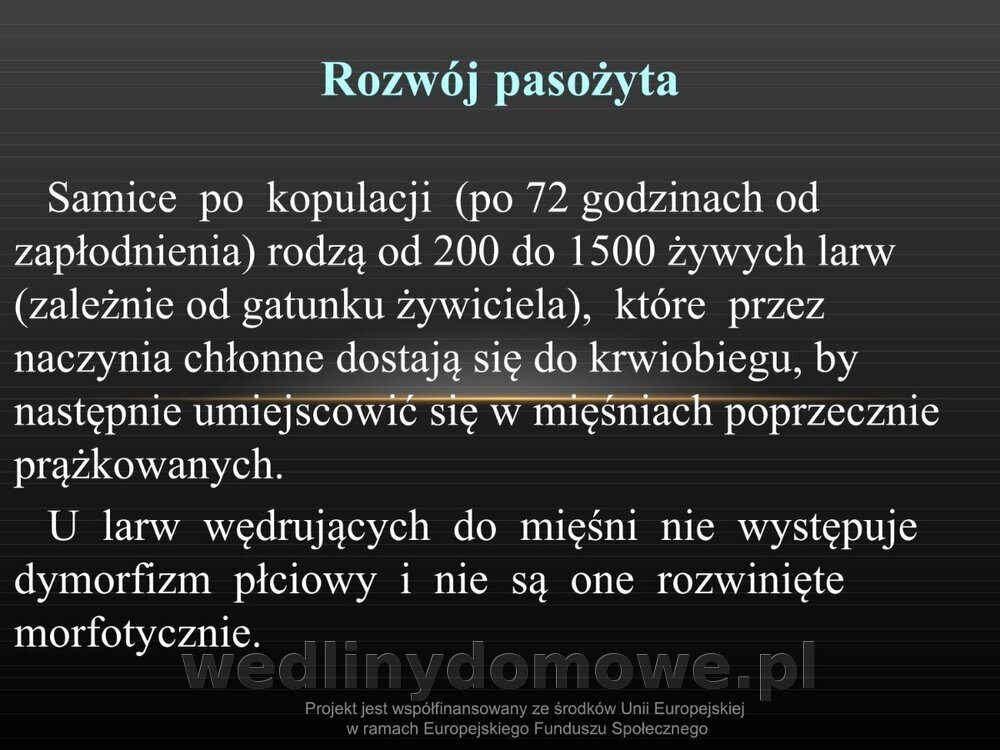 Włośnica - marzec 2014rPPTX (1)_010.jpg