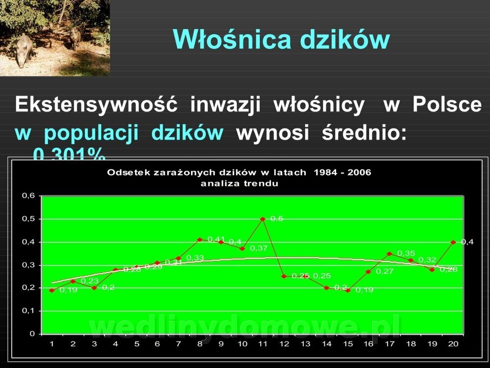 Włośnica - marzec 2014rPPTX (1)_026.jpg