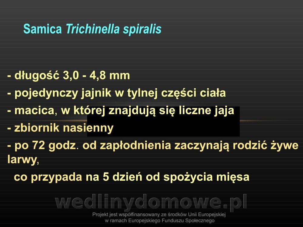 Włośnica - marzec 2014rPPTX (1)_031.jpg