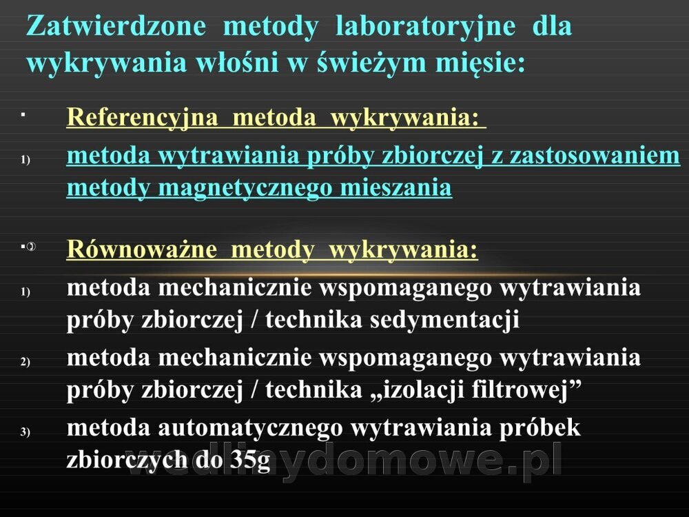 Włośnica - marzec 2014rPPTX (1)_043.jpg