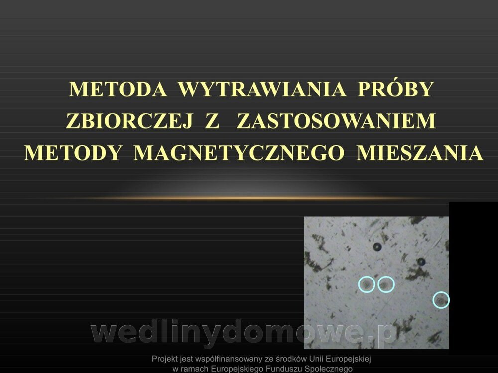 Włośnica - marzec 2014rPPTX (1)_044.jpg