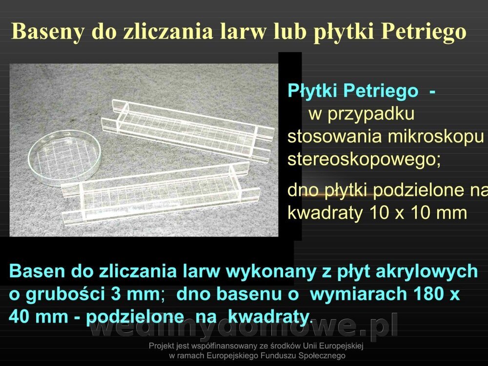 Włośnica - marzec 2014rPPTX (1)_055.jpg