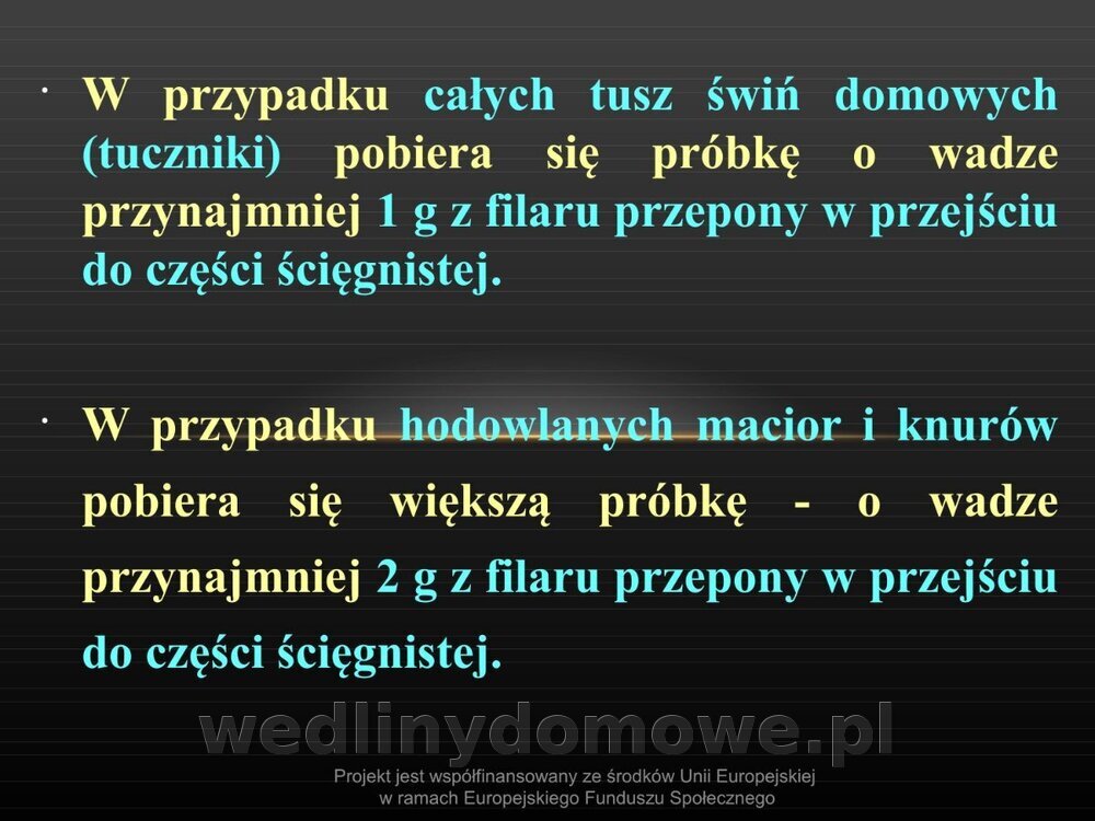 Włośnica - marzec 2014rPPTX (1)_058.jpg