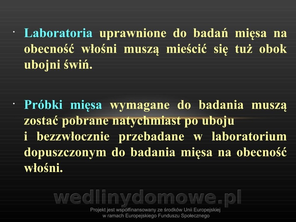 Włośnica - marzec 2014rPPTX (1)_061.jpg