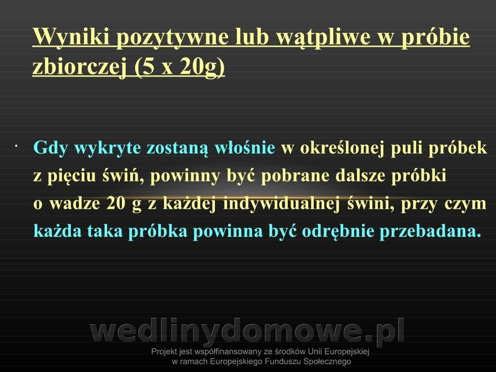 Włośnica - marzec 2014rPPTX (1)_078.jpg