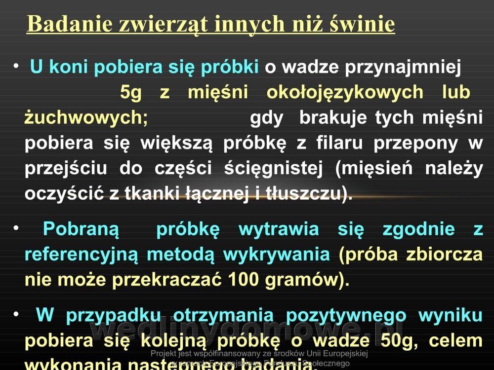 Włośnica - marzec 2014rPPTX (1)_079.jpg