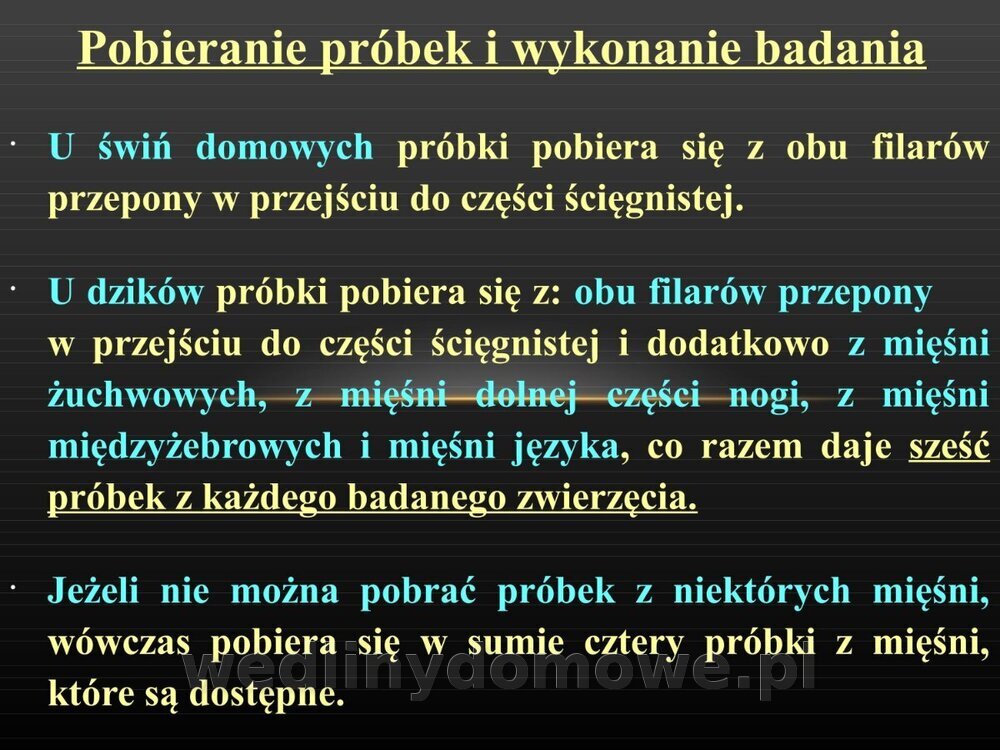 Włośnica - marzec 2014rPPTX (1)_087.jpg