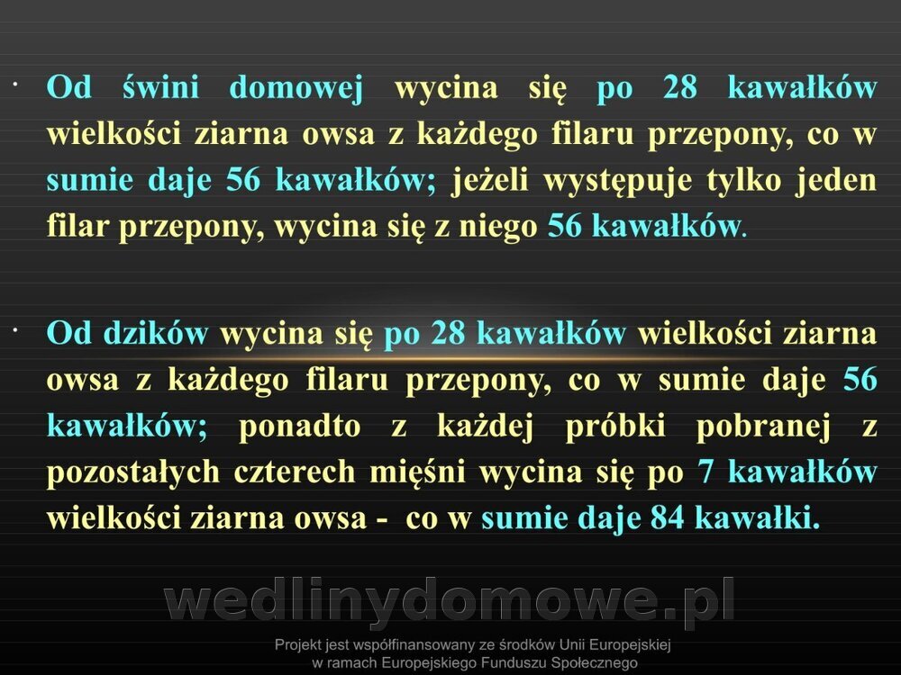 Włośnica - marzec 2014rPPTX (1)_088.jpg