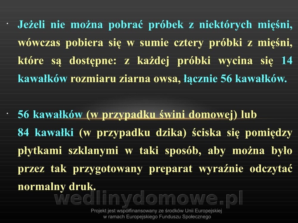 Włośnica - marzec 2014rPPTX (1)_089.jpg
