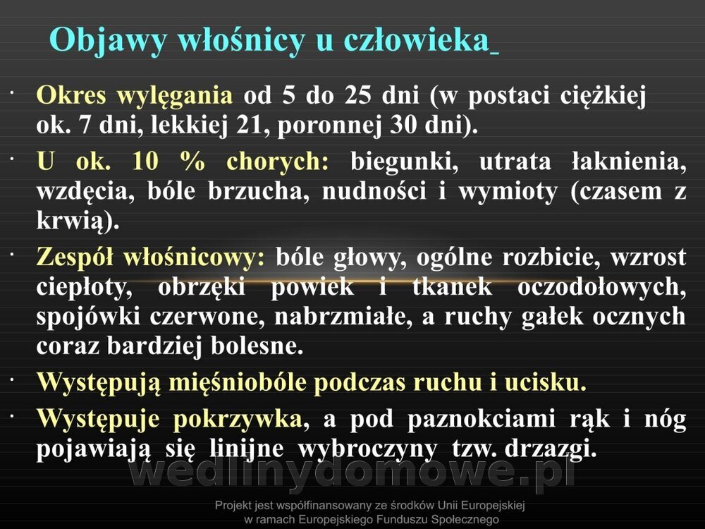 Włośnica - marzec 2014rPPTX (1)_097.jpg