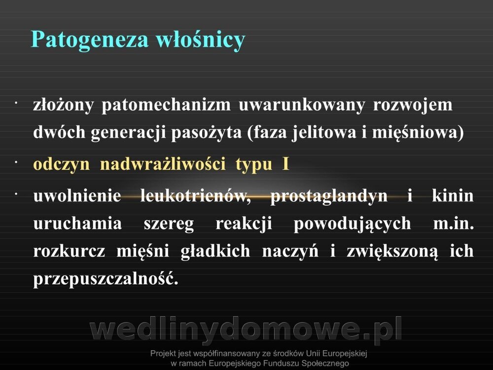 Włośnica - marzec 2014rPPTX (1)_102.jpg