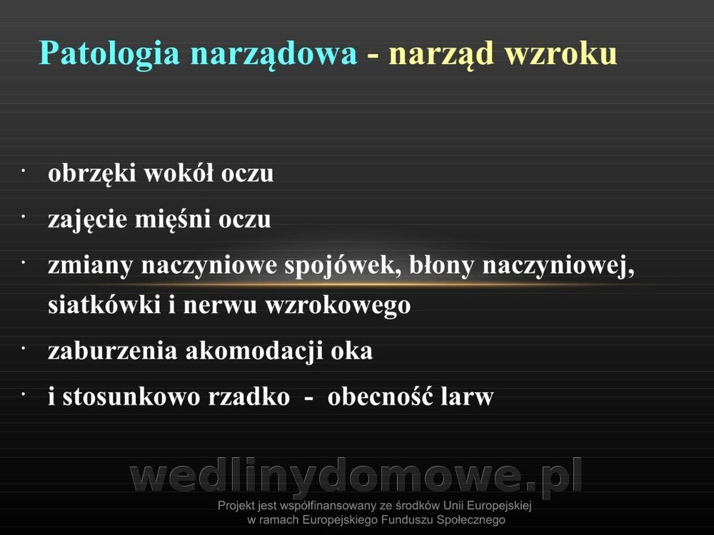 Włośnica - marzec 2014rPPTX (1)_103.jpg