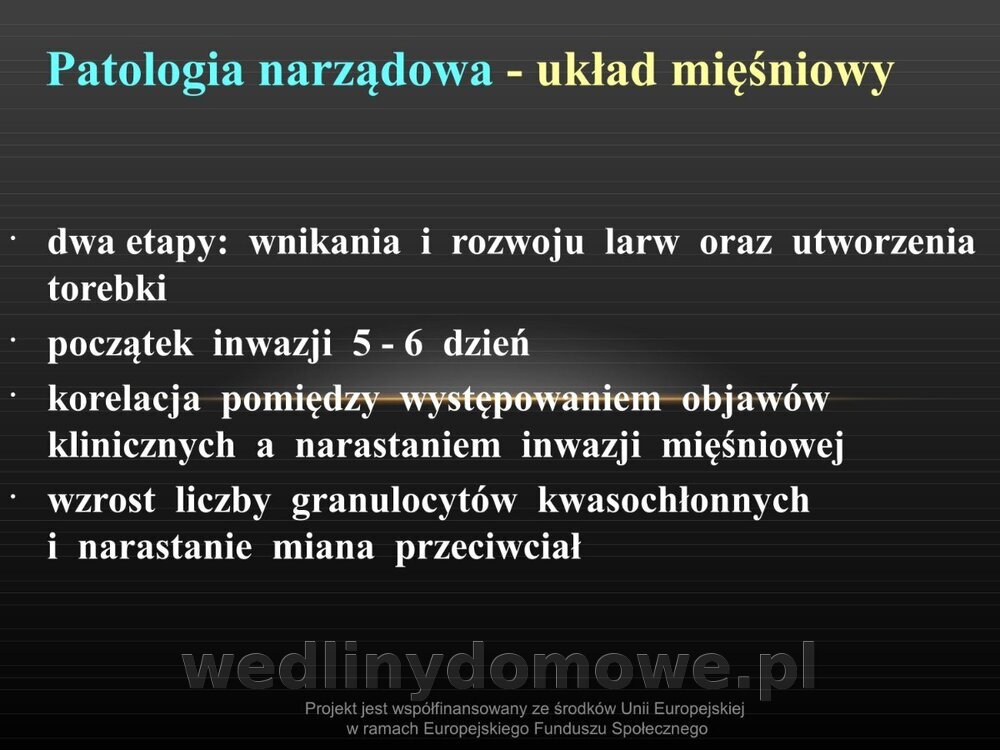 Włośnica - marzec 2014rPPTX (1)_104.jpg