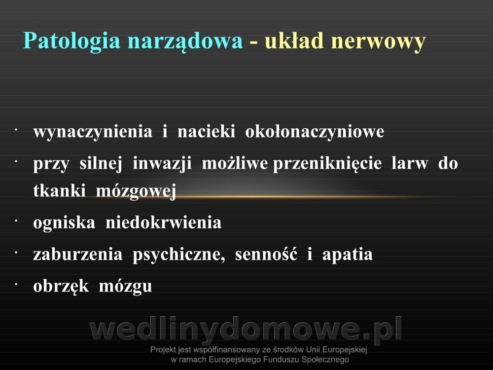 Włośnica - marzec 2014rPPTX (1)_105.jpg