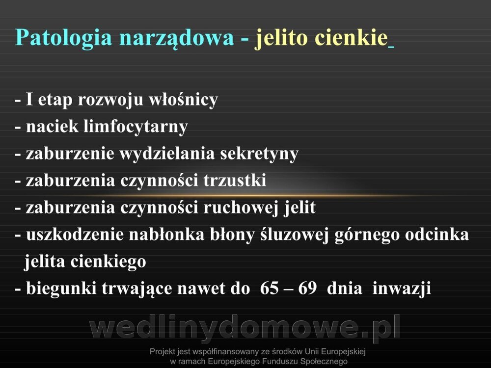 Włośnica - marzec 2014rPPTX (1)_106.jpg