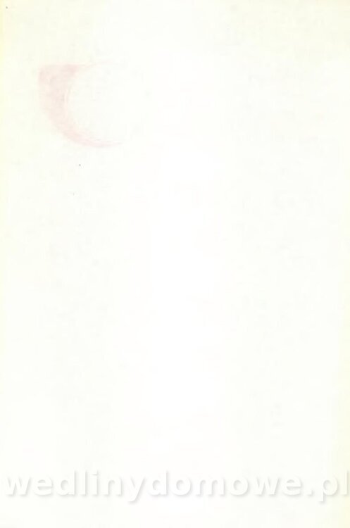 Zapiekanki 1991_004.jpg