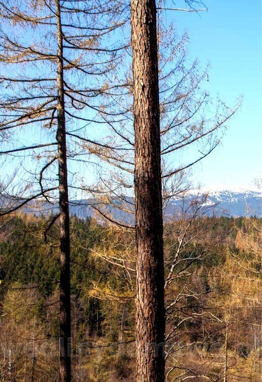 tradycje_kulinarne_polski_014_exposure.jpg