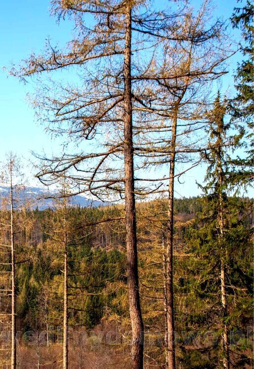 tradycje_kulinarne_polski_015_exposure.jpg