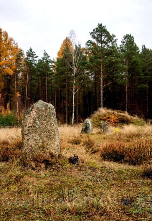 tradycje_kulinarne_polski_016_exposure.jpg