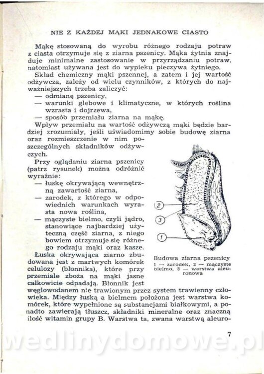 Potrawy Maczne_005.jpg