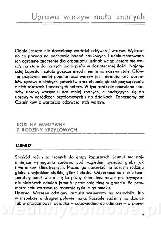Urozmaicone Potrawy Z Warzyw_06.jpg