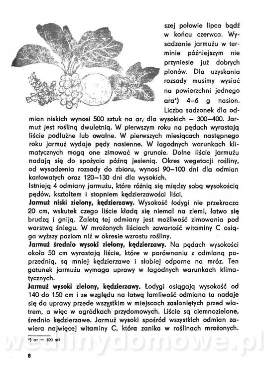 Urozmaicone Potrawy Z Warzyw_07.jpg