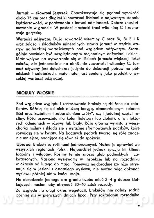 Urozmaicone Potrawy Z Warzyw_08.jpg