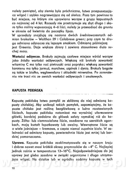Urozmaicone Potrawy Z Warzyw_09.jpg