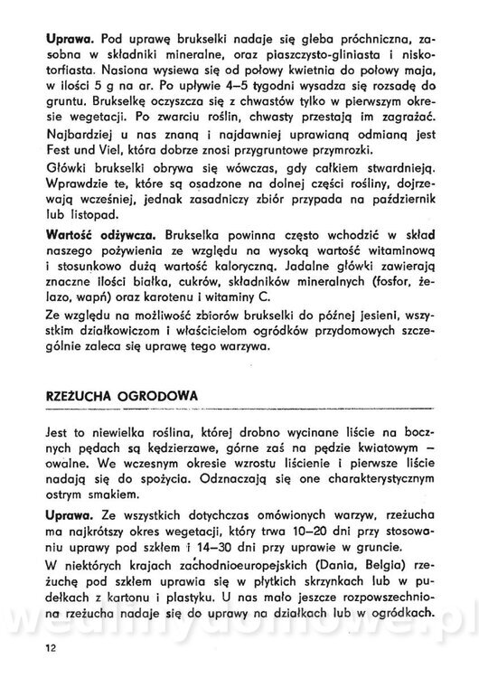 Urozmaicone Potrawy Z Warzyw_11.jpg