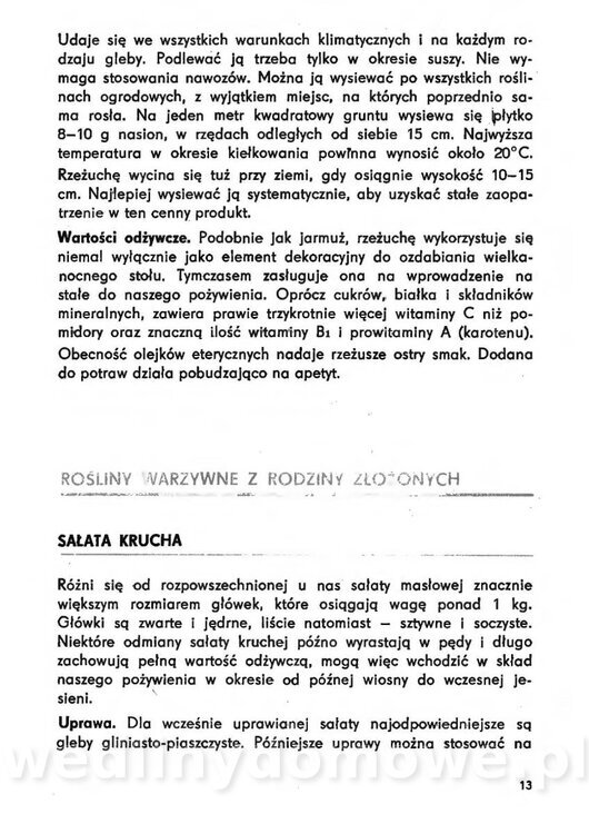 Urozmaicone Potrawy Z Warzyw_12.jpg