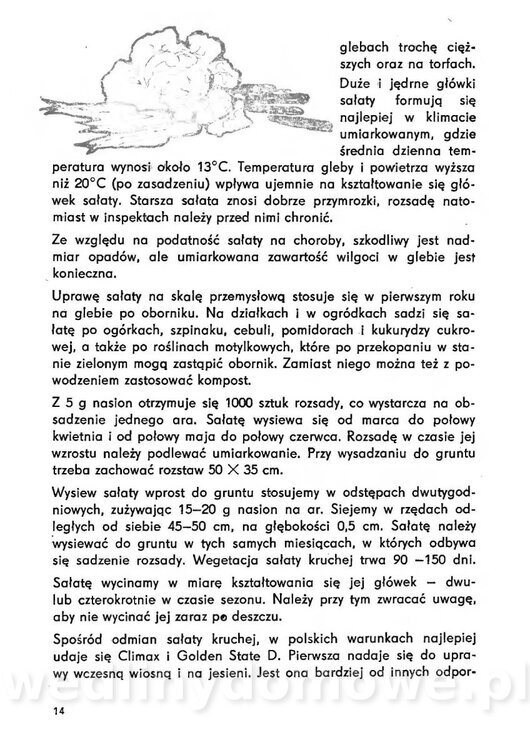 Urozmaicone Potrawy Z Warzyw_13.jpg